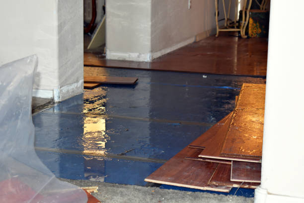 Professional Basement Flood Cleanup technician working in Sumner, ME